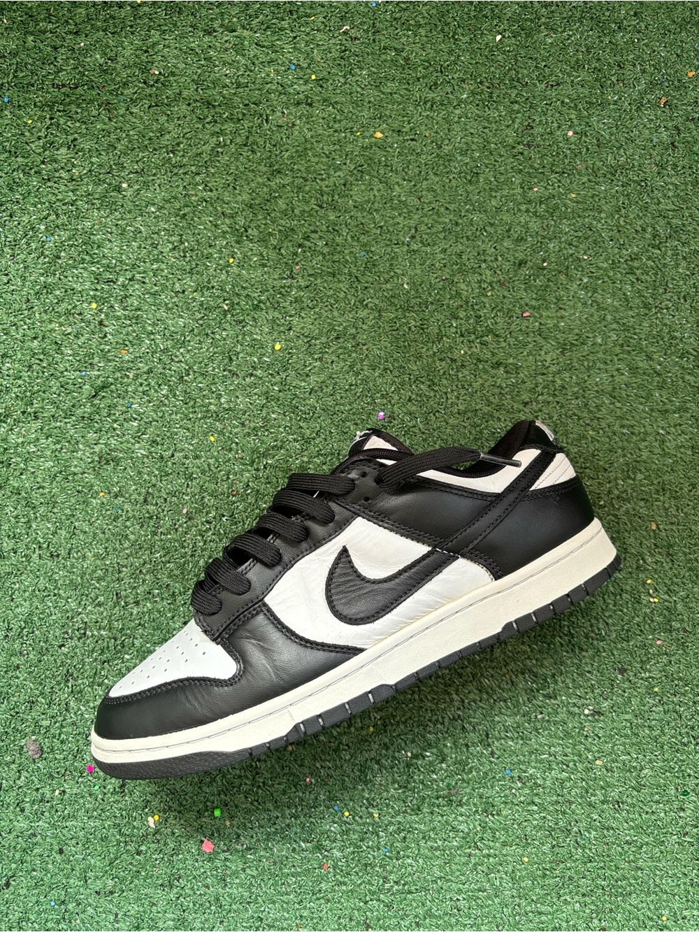 Nike Men’s Low-Top Sneaker in Black and White